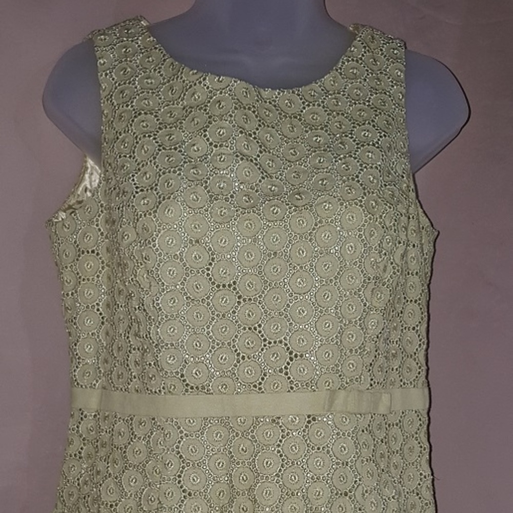 Dressbarn Women's Mint Lace Top Size 6